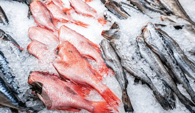 ¿El pescado congelado es igual de bueno que el fresco? Esto reveló reconocido chef. ¿El pescado congelado es igual de bueno que el fresco? Esto reveló reconocido chef.