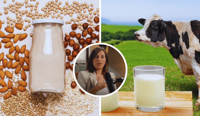 Según experta en nutrición, esta es la mejor leche Según experta en nutrición, esta es la mejor leche