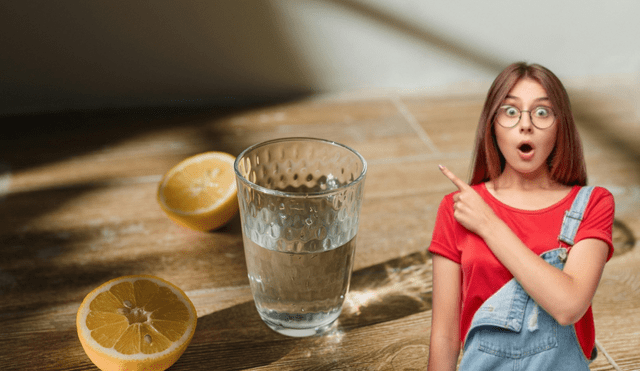 Se recomienda consumir un vaso diario, siempre bajo la supervisión de un profesional de salud. Fuente: ComposiciónLR. Se recomienda consumir un vaso diario, siempre bajo la supervisión de un profesional de salud. Fuente: ComposiciónLR.