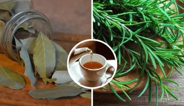 Una taza de té natural que puede ayudarte a reducir el estrés y mejorar la concentración. Una taza de té natural que puede ayudarte a reducir el estrés y mejorar la concentración.