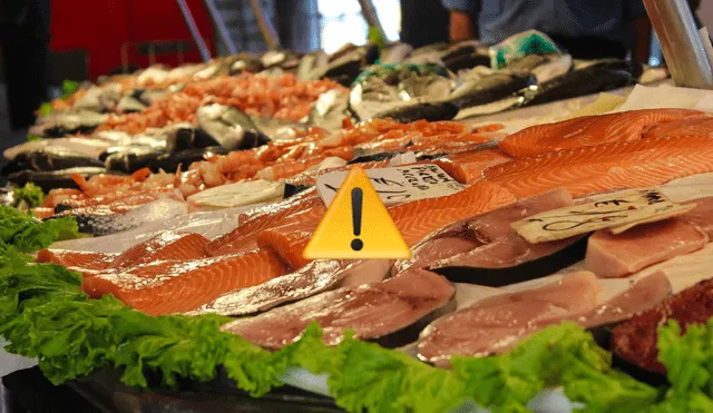 La actividad de los comerciantes en el terminal prosigue sin alteraciones significativas. Fuente: ComposiciónLR. La actividad de los comerciantes en el terminal prosigue sin alteraciones significativas. Fuente: ComposiciónLR.