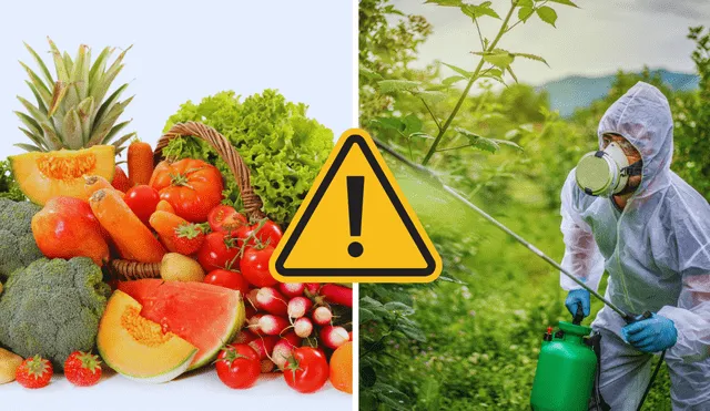 Pesticidas en Perú Pesticidas en Perú