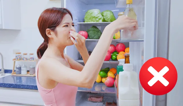 Eliminar el mal olor del refrigerador Eliminar el mal olor del refrigerador