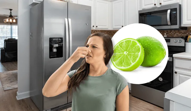 Mal olor en la refrigeradora