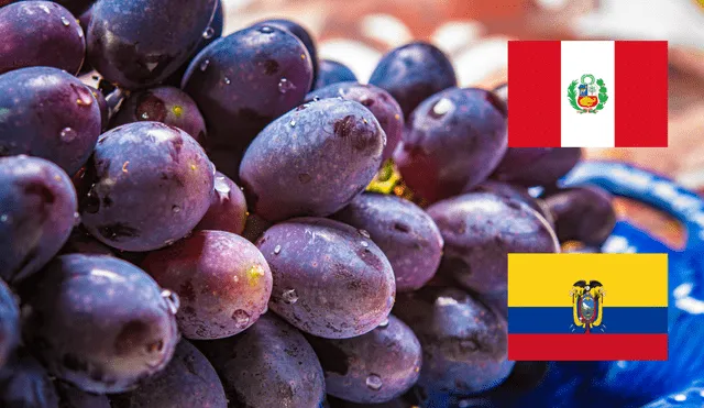 Se hallaron importaciones de uvas peruanas con pesticidas.