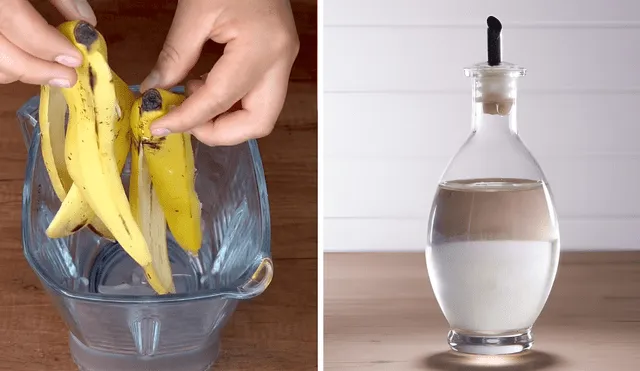 Mezcla de cáscara de plátano y vinagre. Mezcla de cáscara de plátano y vinagre.