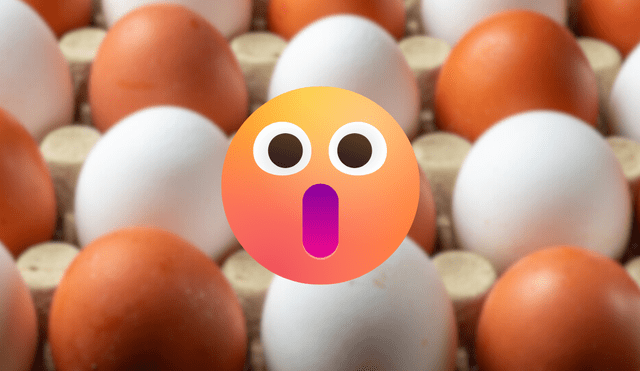 Conoce cuál es la diferencia entre un huevo de cáscara blanca y otro de cáscara marrón. Fuente: ComposiciónLR. Conoce cuál es la diferencia entre un huevo de cáscara blanca y otro de cáscara marrón. Fuente: ComposiciónLR.