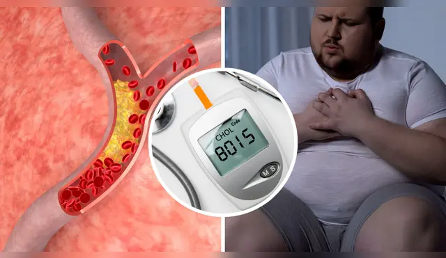 Alimentos que bajan el colesterol malo y cuidan tu corazón