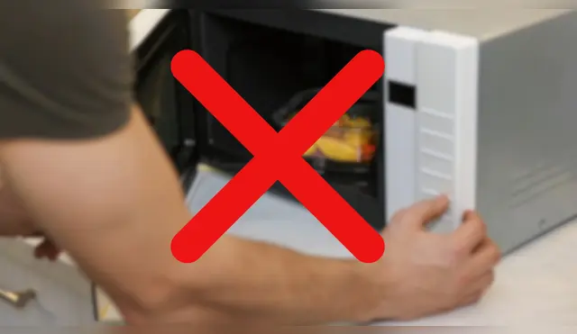Este nuevo electrodoméstico pretende cocinar los alimentos dejando sus nutrientes. Fuente: ComposiciónLR.