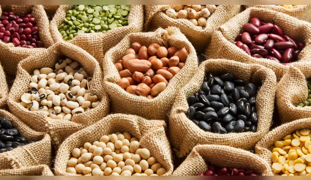 Comer legumbres varias veces por semana ayuda a mantener una dieta equilibrada y económica. Comer legumbres varias veces por semana ayuda a mantener una dieta equilibrada y económica.