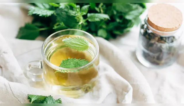 Beneficios del té de ortiga. Beneficios del té de ortiga.