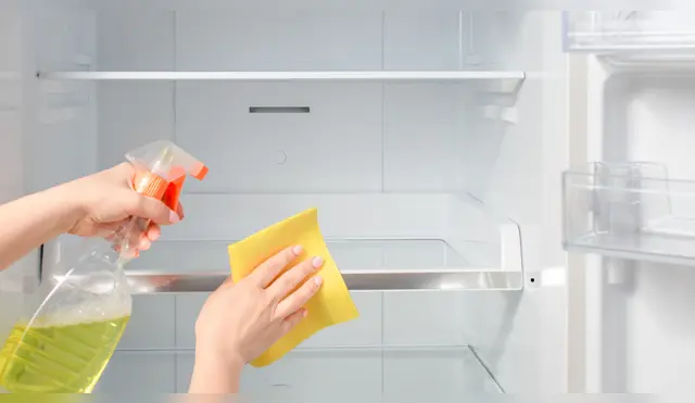 Mantener este espacio limpio, garantiza su buen funcionamiento. Fuente: Shutterstock. Mantener este espacio limpio, garantiza su buen funcionamiento. Fuente: Shutterstock.