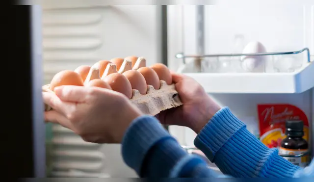¿Es mejor guardar el huevo dentro o fuera de la refrigeradora?