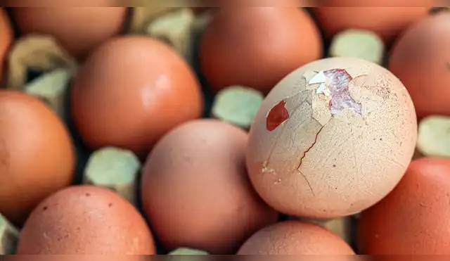 Huevos con grietas, esto dice una especialista. Huevos con grietas, esto dice una especialista.