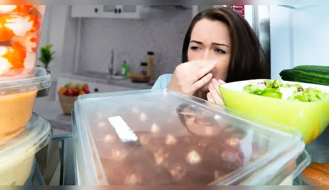 Cómo evitar el mal olor en el refrigerador.