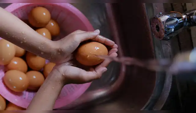 No laves el huevo antes de cocinarlo. No laves el huevo antes de cocinarlo.