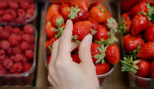 Las fresas son de las peores frutas que puedes comer. Las fresas son de las peores frutas que puedes comer.