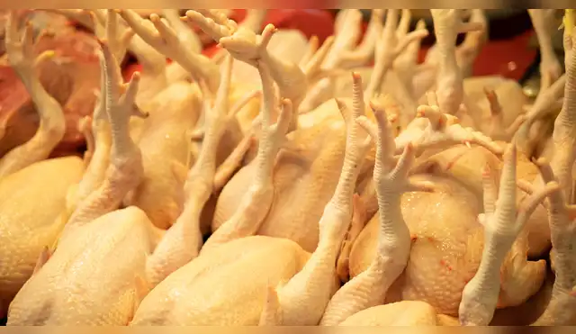 Retiran kilos de pollo por contaminación con metal Retiran kilos de pollo por contaminación con metal