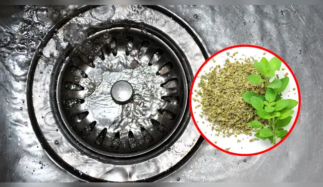 El condimento de tu cocina podría ser la solución al mal olor del caño. El condimento de tu cocina podría ser la solución al mal olor del caño.