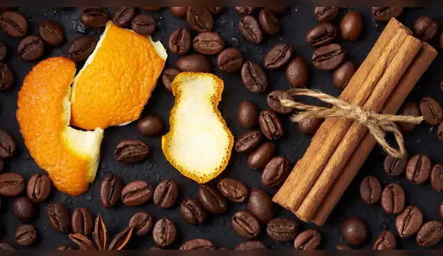 Por qué recomiendan hervir cáscaras de naranja con canela. Por qué recomiendan hervir cáscaras de naranja con canela.