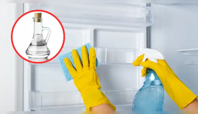 Este truco casero con vinagre que es viral. Este truco casero con vinagre que es viral.