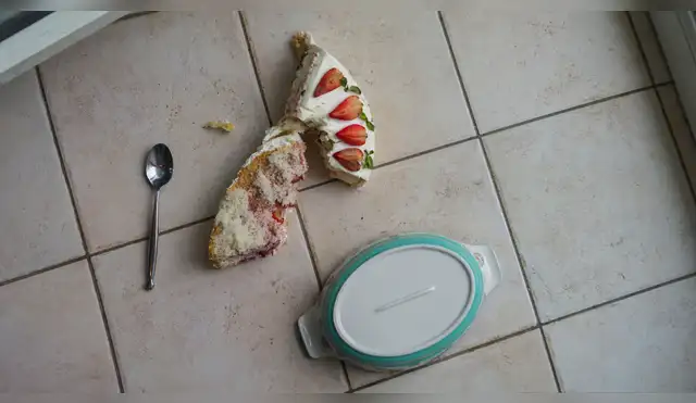 ¿Es seguro comer un alimento que cayó al suelo?