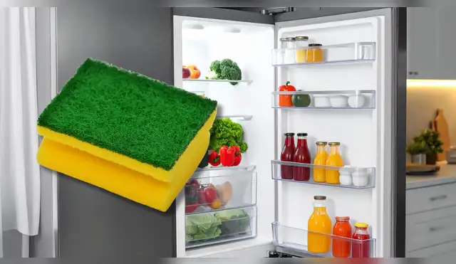 Una esponja seca puede evitar moho y malos olores en la refrigeradora.