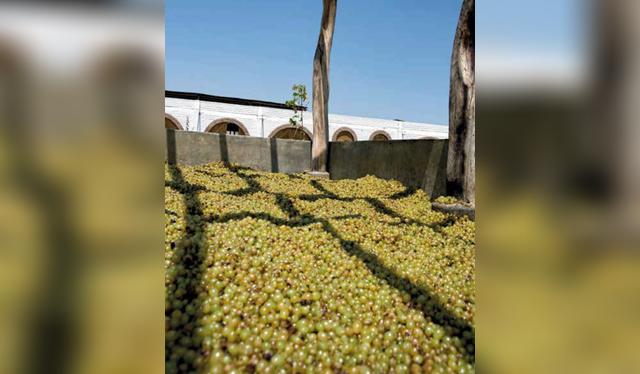 Uvas en proceso de fermentación.   