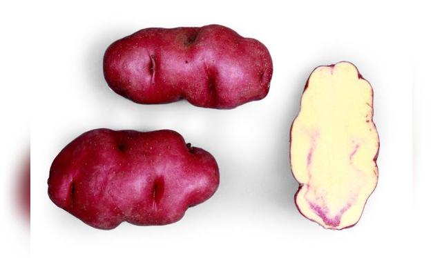 Esta variedad de papa nativa es muy usada en las pachamancas. Tiene ligera pigmentación roja. ©️Centro Internacional de la Papa, Lima, Peru   
