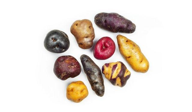 El consumo de papa nativa ha crecido mucho en los últimos años. Son nutritivas y muy sabrosas.    