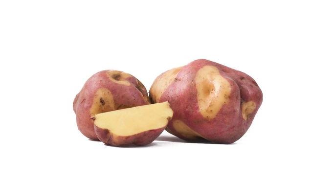 Un homenaje a la patria donde nacieron: la peruanita.   