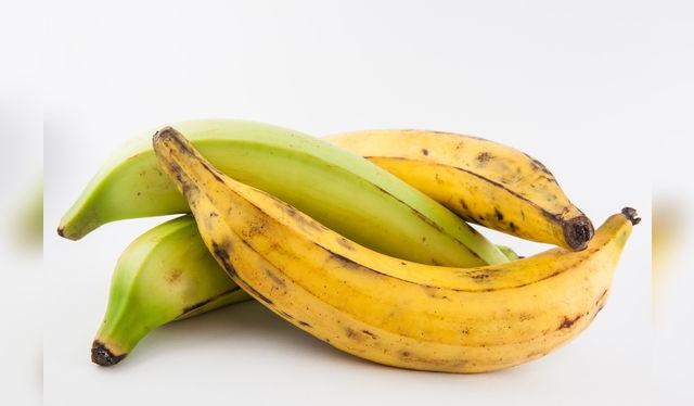 Plátano bellaco: verde y maduro. Plátano bellaco: verde y maduro.