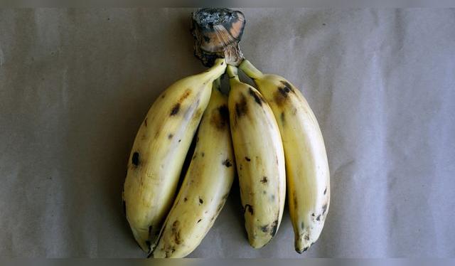 Una variedad muy consumida en nuestro país, clave en la cocina criolla. Una variedad muy consumida en nuestro país, clave en la cocina criolla.