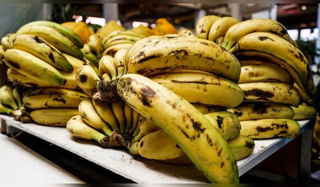 El palillo se parece al de seda, pero es más robusto y sabroso. El palillo se parece al de seda, pero es más robusto y sabroso.