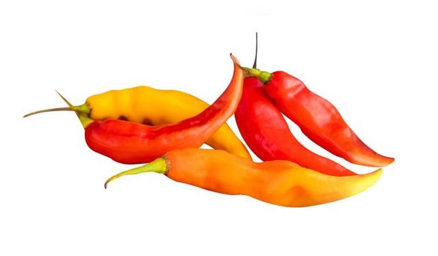 El limo es uno de los protagonistas del ceviche. Los hay de varios colores y picores. El limo es uno de los protagonistas del ceviche. Los hay de varios colores y picores.