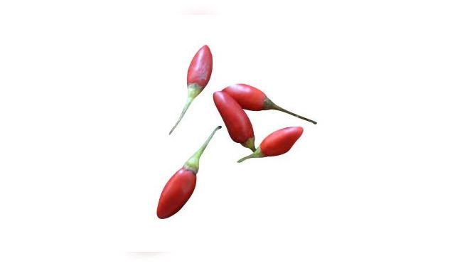 Hay que ir con cuidado con este pequeño ají colorado. Crédito: Andina - Difusión. Hay que ir con cuidado con este pequeño ají colorado. Crédito: Andina - Difusión.