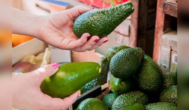 Tocar una palta es un asunto delicado: si la aprietas mucho corres el riesgo de hacerle daño. Puedes pedirle a tu casera o casero que lo hagan por ti. Tocar una palta es un asunto delicado: si la aprietas mucho corres el riesgo de hacerle daño. Puedes pedirle a tu casera o casero que lo hagan por ti.