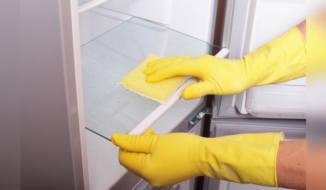 Usa una mezcla de cloro y agua, o bicarbonato y agua para limpiar a profundidad la refrigeradora.   