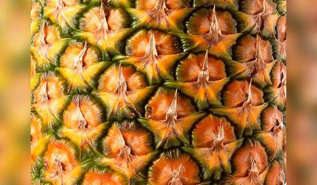 Los ojos deben ser grandes y parejos.   