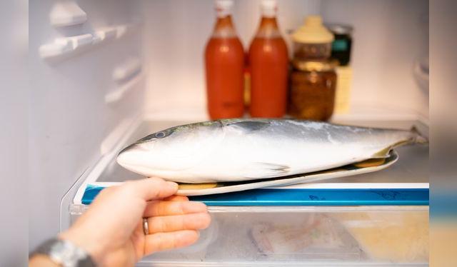 El descongelamiento en el refrigerador es el más seguro, ya que es un proceso lento a temperatura controlada. El descongelamiento en el refrigerador es el más seguro, ya que es un proceso lento a temperatura controlada.