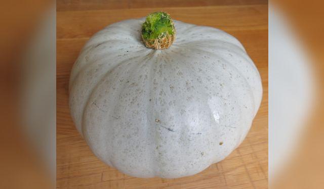 Hay dos tipos de zapallo de carga: liso y rugoso, el primero es típico de Tacna.   