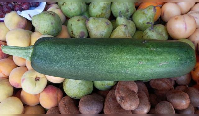 La calabaza arequipeña mide unos 40 cm. y se usa en el ají de calabaza. Foto: Ernesto Calmet.    