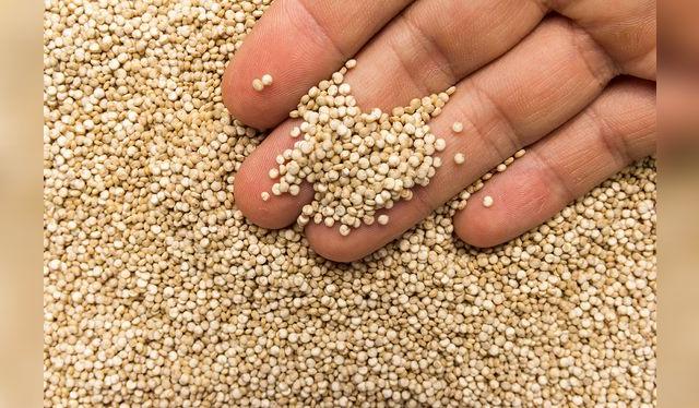 Aunque algunas pasan por control de calidad, siempre es bueno revisar la quinua para separar elementos indesados.   