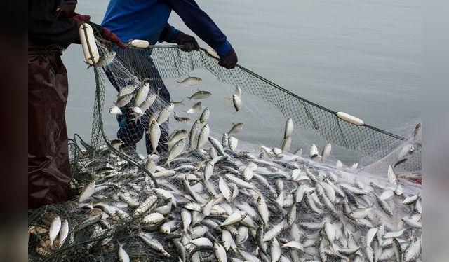 Las vedas son una medida para proteger nuestros recursos marino y fluviales, y no sobre explotarlo.    