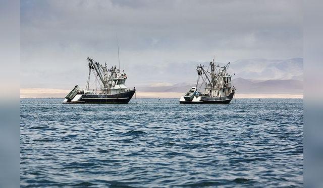 La pesca debe ser controlada y normada por evidencia, según los estudios del Imarpe.   