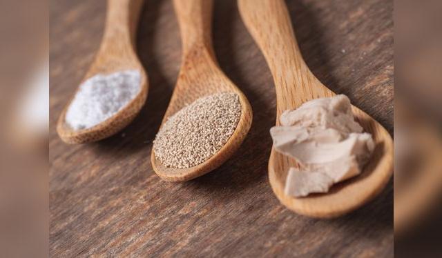 El bicarbonato es comnocido como la levadura instantánea, a diferencia de la levadura seca y la fresca, que requiere tiempo. El bicarbonato es comnocido como la levadura instantánea, a diferencia de la levadura seca y la fresca, que requiere tiempo.