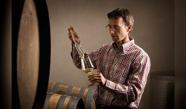 El enólogo tiene que tomar muchas decisiones para obtener el vino que se imagina. No hay una sola forma de hacer vino. El enólogo tiene que tomar muchas decisiones para obtener el vino que se imagina. No hay una sola forma de hacer vino.