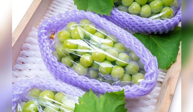 Las uvas de exportación son las de mejor calidad.   