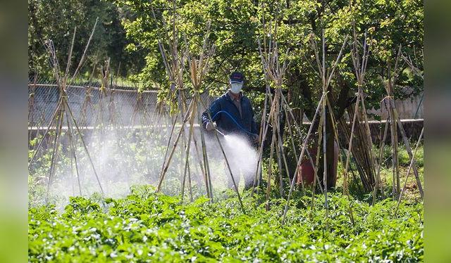 El uso indiscriminado de agrotóxicos tienen efectos nefastos en el medio ambiente.   