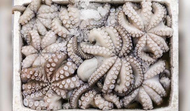 Los tentáculos bien formados y que no se vean flácidos son garantía de frescura. Los tentáculos bien formados y que no se vean flácidos son garantía de frescura.